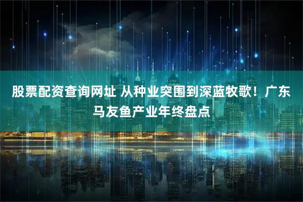 股票配资查询网址 从种业突围到深蓝牧歌！广东马友鱼产业年终盘点
